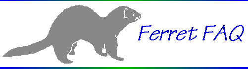 Ferret Outline